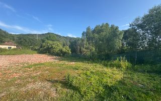 TEREN INTRAVILAN 3296 MP CAMPULUNG ARGEȘ - Poză 13