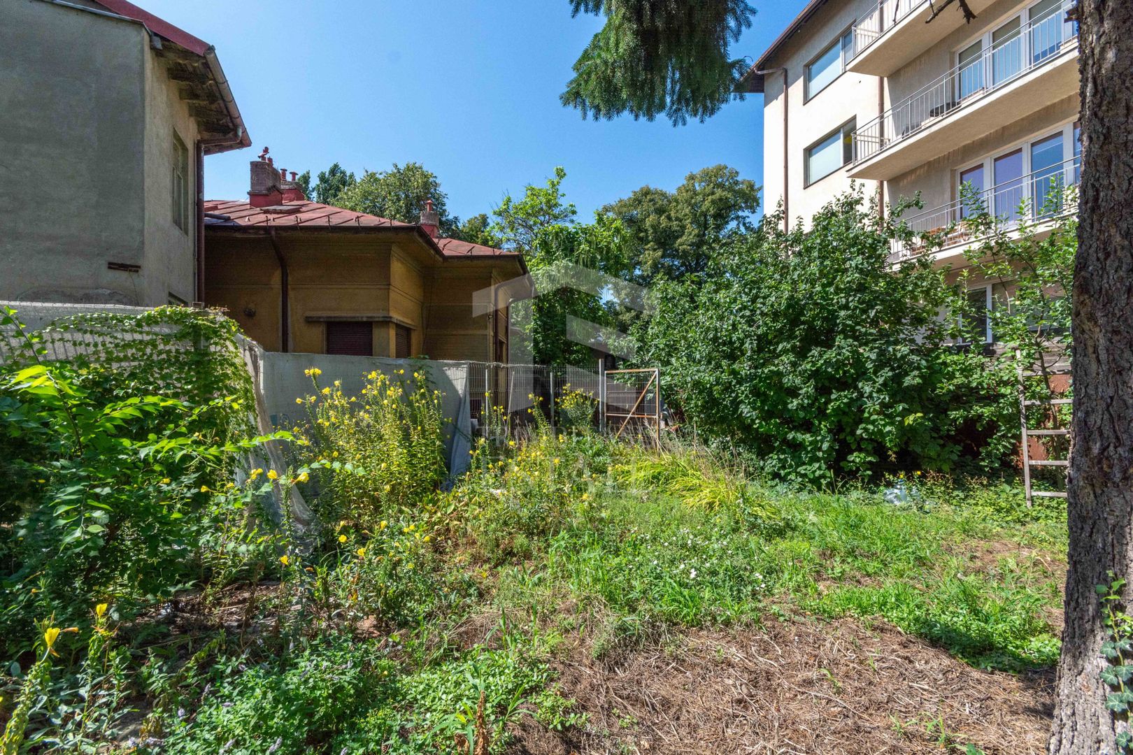 Stefan cel Mare - Tunari - Barbu Mumuleanu teren 381 mp - Poză 6