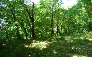 Teren de vânzare în Breaza– zonă liniștită, ideal pentru relaxare - Poză 19