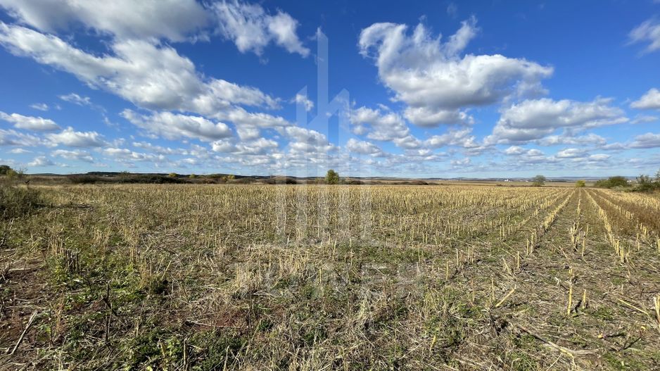 De vânzare teren intravilan – Cristian, Sibiu - Poză 7