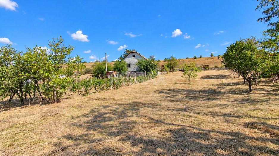 CASĂ GENEROASĂ CU 3 CAMERE – 90 m² | 17 ARI| ANENII NOI - Poză 6