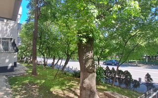 2 camere | Decomandat | Tineretului - Poză 18