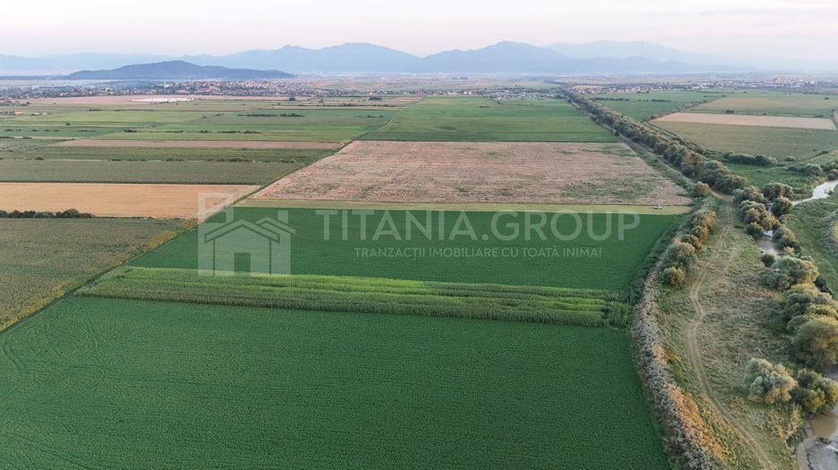 Teren extravilan, 8700 mp, pretabil agricultură sau investiție - Bod - Poză 2