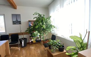 Spatiu comercial pentru birouri , suprafata intre 50-150 mp,zona Calea Nationala /Zona Industriala,pret 5 euro mp - Poză 6