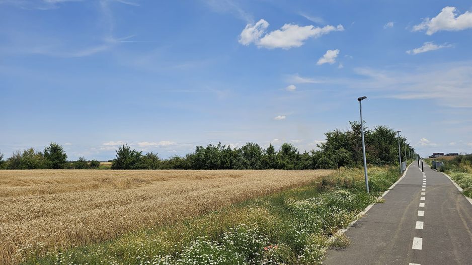 Vanzare Teren Intravilan Buftea, 750mp, str. Ulmului, Pista Biciclete - Poză 1
