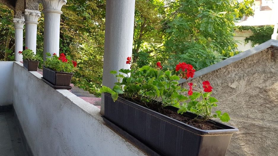Apartament Natiunile Unite/Parcul Izvor - Poză 9