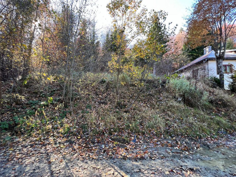 Teren 500 metri - central Sinaia - ideal constructii (COMISION ZERO) - Poză 2
