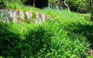 Casa boiereasca cu teren - Poză 4
