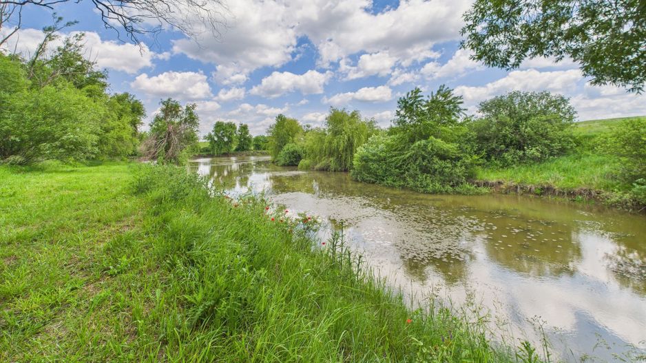 Teren cu baltă- oportunități multiple la Fibiș - Poză 15