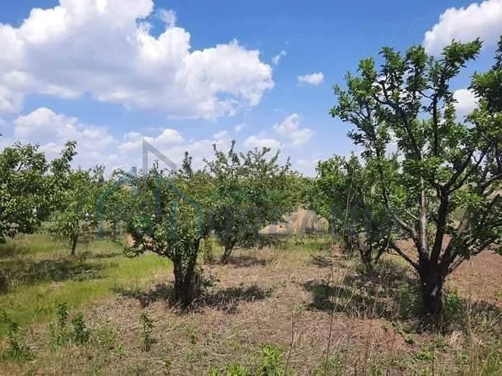 Teren de vânzare, 3.360 mp, Comuna Holboca – Zonă rezidențială nouă - Poză 2