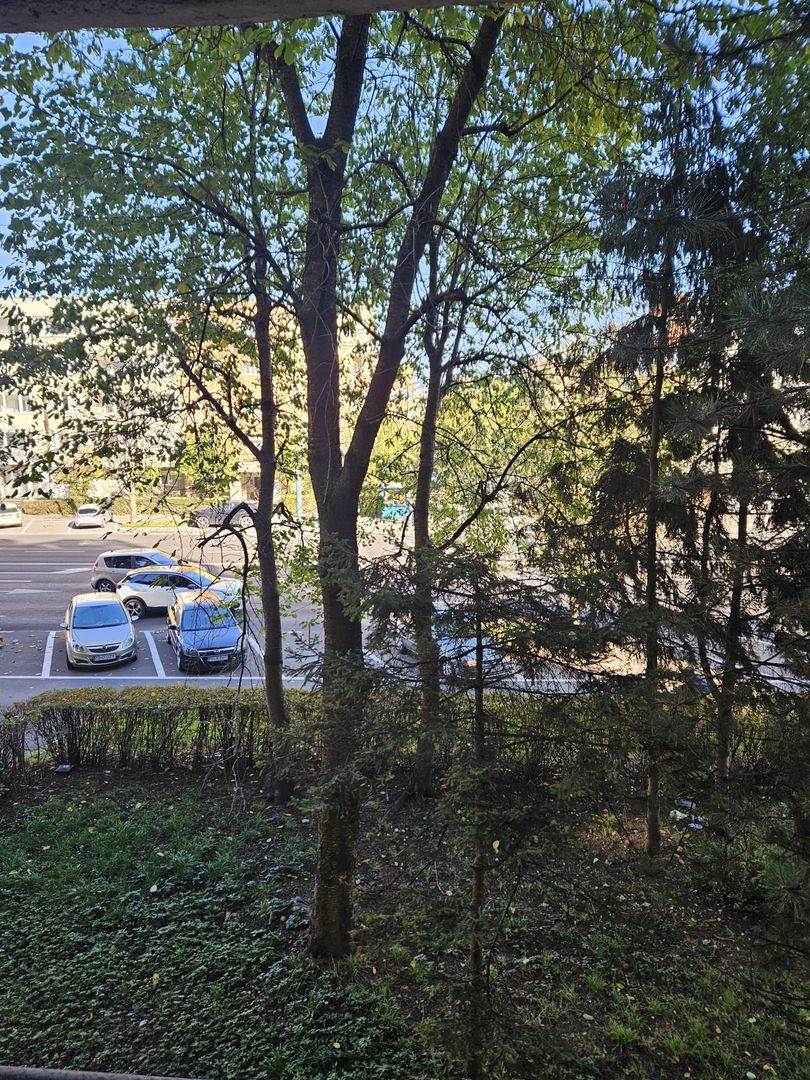 2 camere, zona Spitalul Judetean - Poză 16