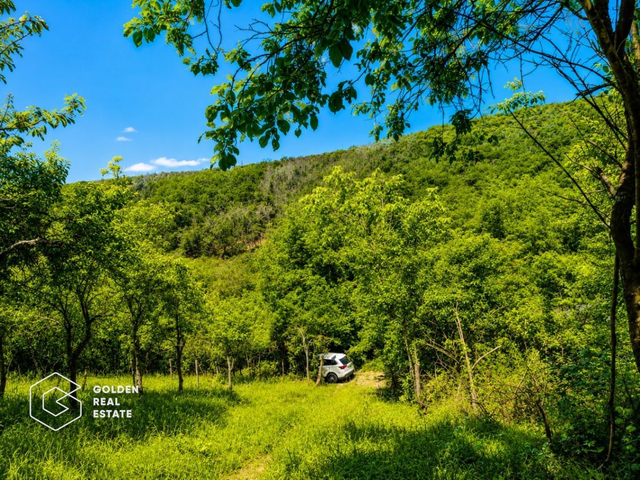 Teren intravilan, 1159 mp, localitatea Ghioroc - Poză 7