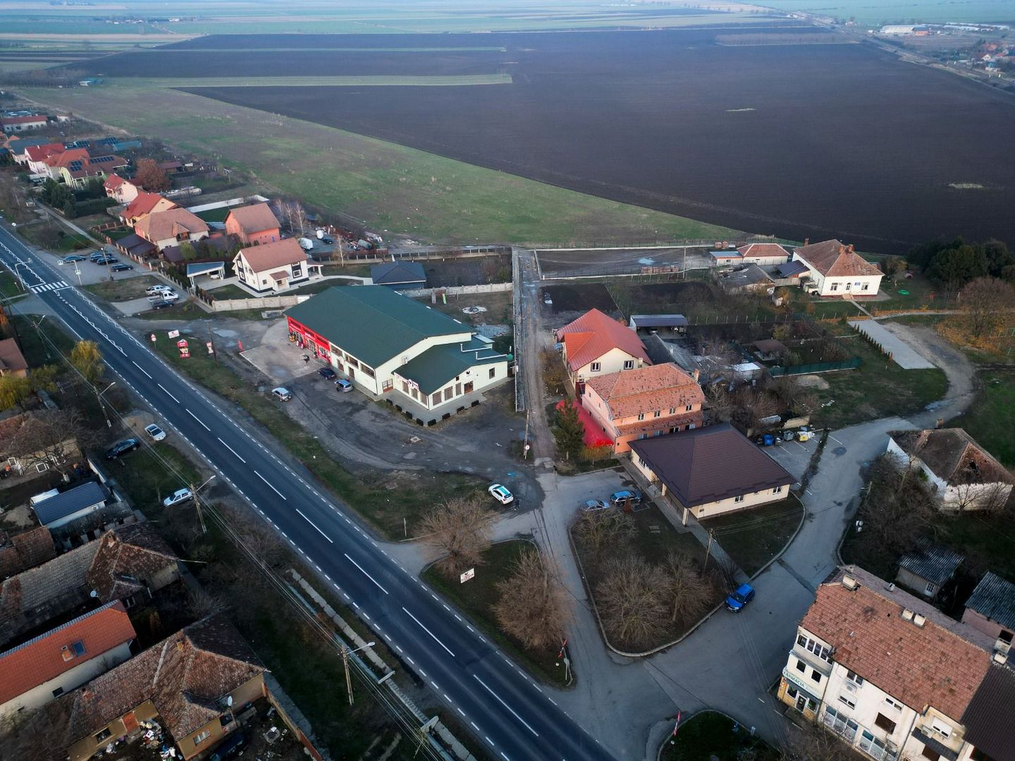 Spațiu comercial de închiriat în Zimandul Nou - Poză 16