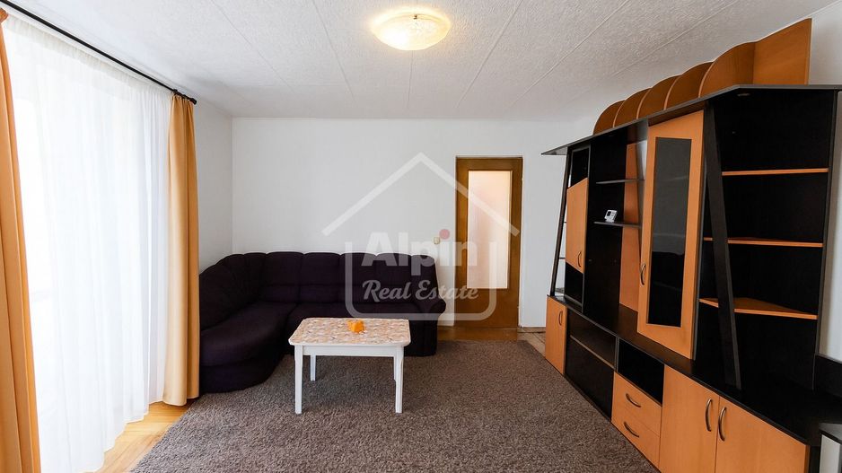 Suprafata Generoasa Garii - Poză 3