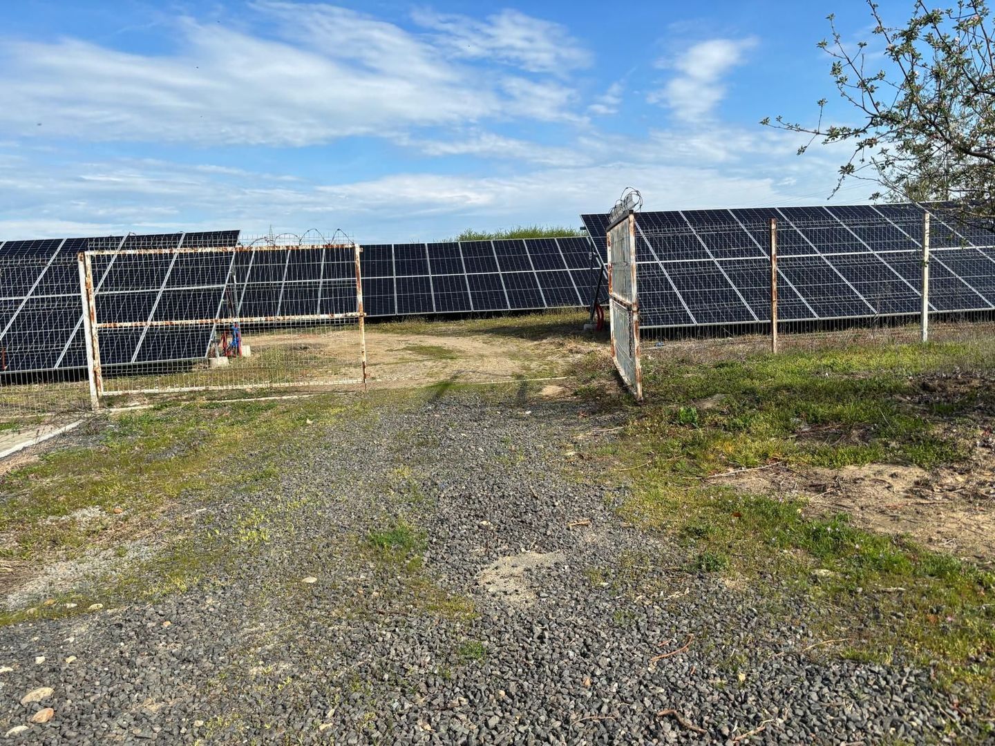 Investiție Timișoara: Hală ISU 1900mp + Parc Solar 400kW + Chiriaș - Poză 10