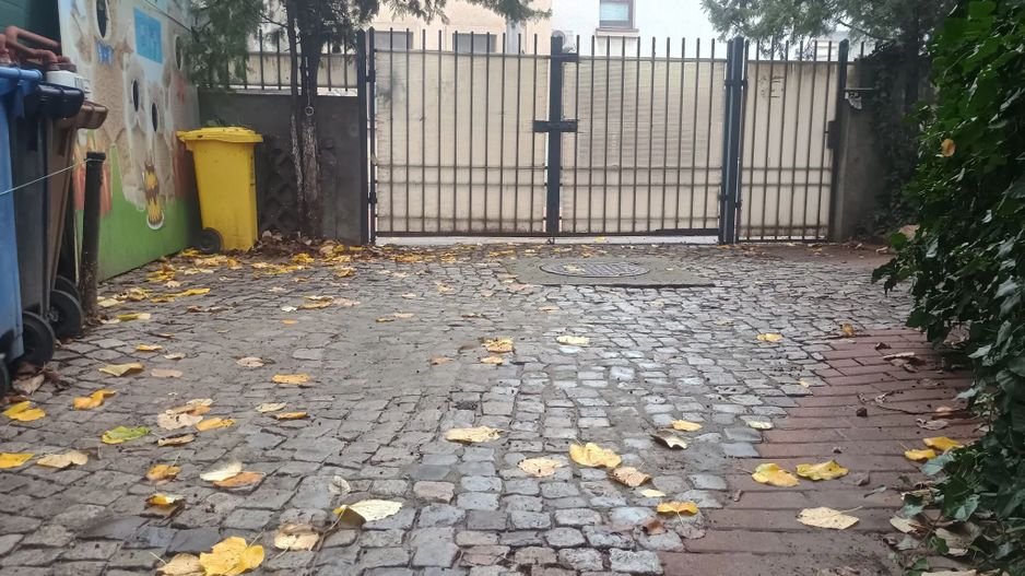 Vila centrala 5 camere | Calea Calarasi | Pretabil notariat/birouri/rezidential - Poză 3