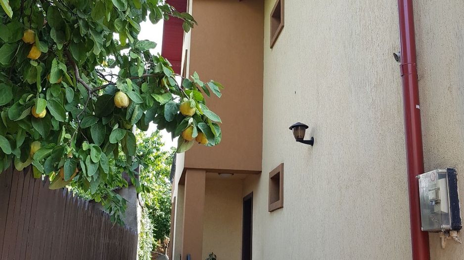 6 cam | vila | Gradinita birou | | Bucurestii Noi Bazilescu - Poză 10