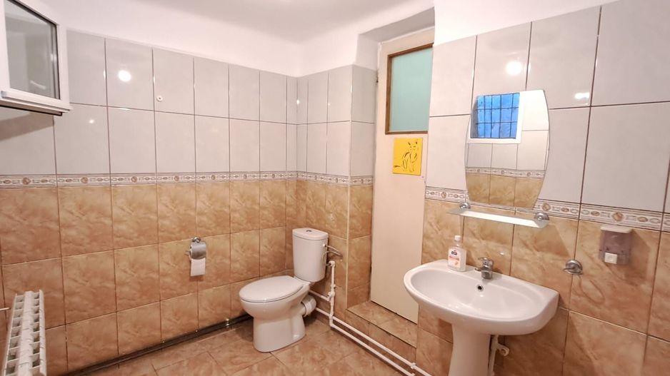 Dimitrie Cantemir, langa metrou Tineretului, 2 camere cu curte proprie - Poză 8