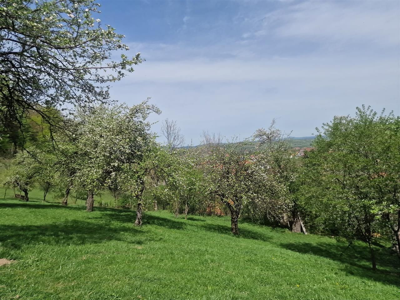 Langa emblematicul Castelul Bran, in areal colinar, 5.700mp intravilan - Poză 8