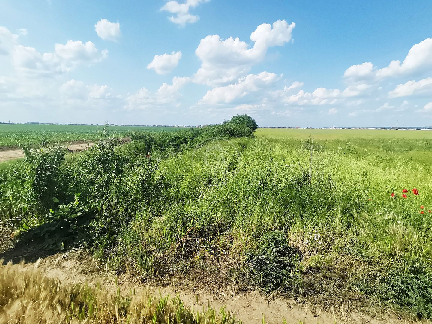 Teren intravilan de vânzare in Santandrei, Bihor - Poză 1