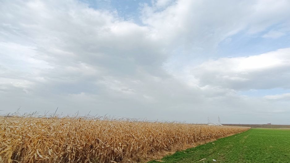 Teren intravilan industrial,str.Durau - Poză 3