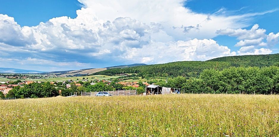 La 24 km de Brasov teren superb de 2010mp cu utilitati - Poză 5