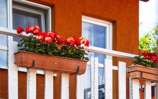 Locuință, Casă de Vacanță sau Business | 1.582 mp teren | Feleacu - Poză 19