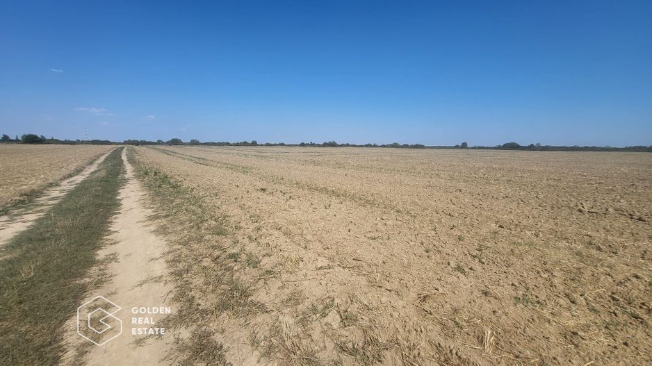 Teren Mosnita Noua, 11600 mp - Poză 1