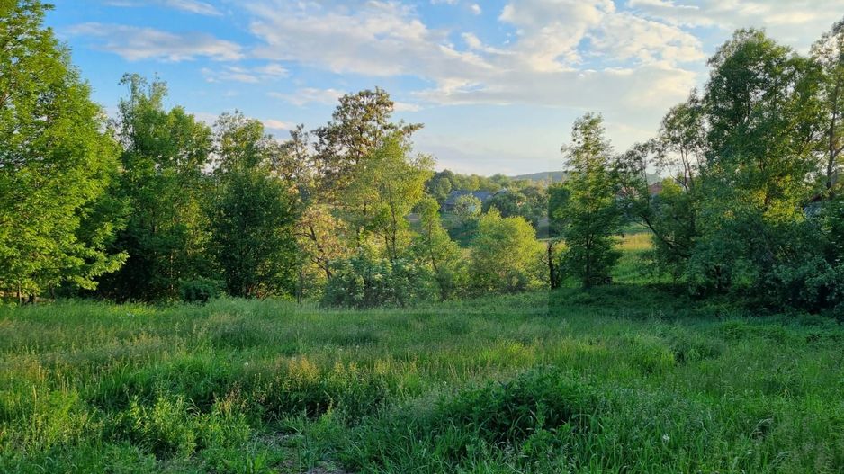 Teren Intravilan Ilisesti/Suceava - Poză 10