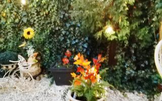 Studio renovat mobilat si utilat,Brasov,centrul istoric - Poză 14