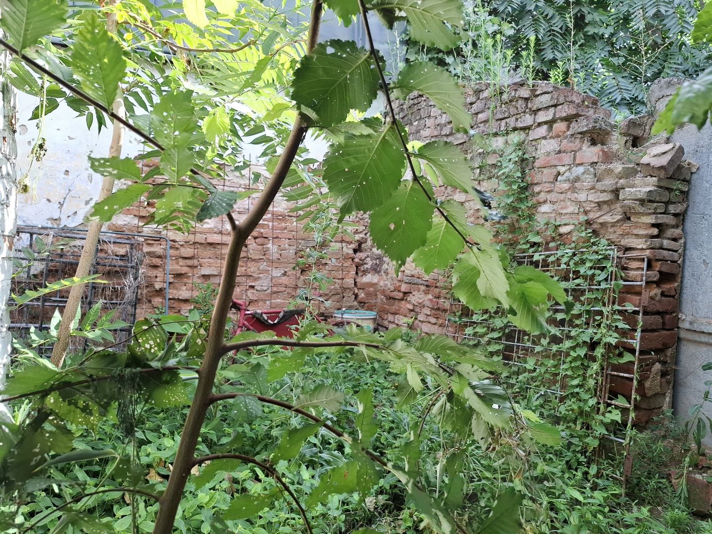 URGENT!, Piata Victoriei-adiacent, cetificat de urbanism, NEGOCIABIL - Poză 5