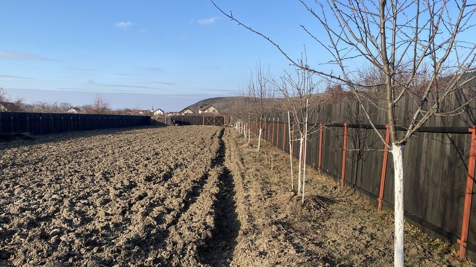 Sanpetru teren intravilan de 1350mp ingradit, 46 euro/mp - Poză 2