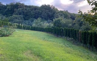 Vanzare teren 3000 mp, cabana, zona D D Rosca, Faget - Poză 3