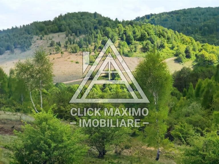 25.000 mp TEREN Ciucea – Calea Lata, jud. Cluj - Poză 7