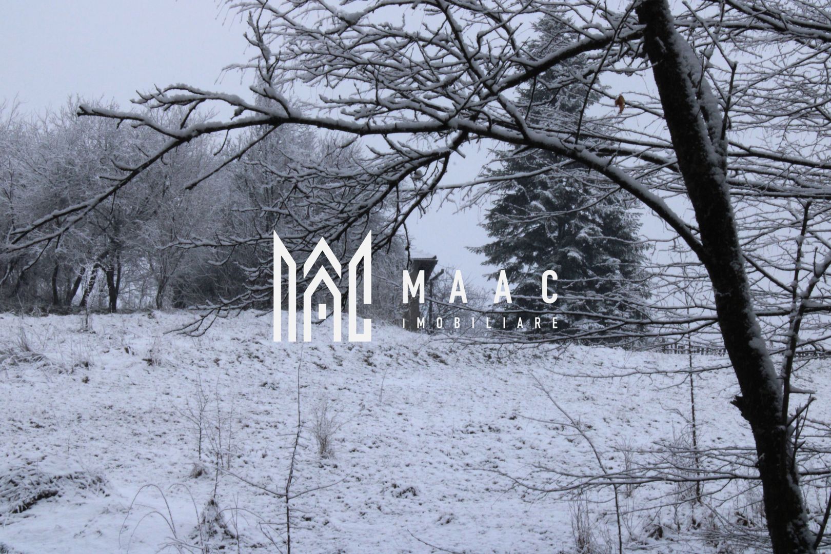 Teren cu izvor de apă minerală  Dangești, Punctul Valea Mare - Poză 6