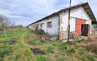 2 Hale pt.depozitare sau productie, 6100 teren, Lunca Muresului - Poză 4