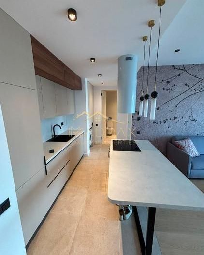 Apartament 2 camere lux + loc parcare I Prima Inchiriere I Herastrau - Poză 1