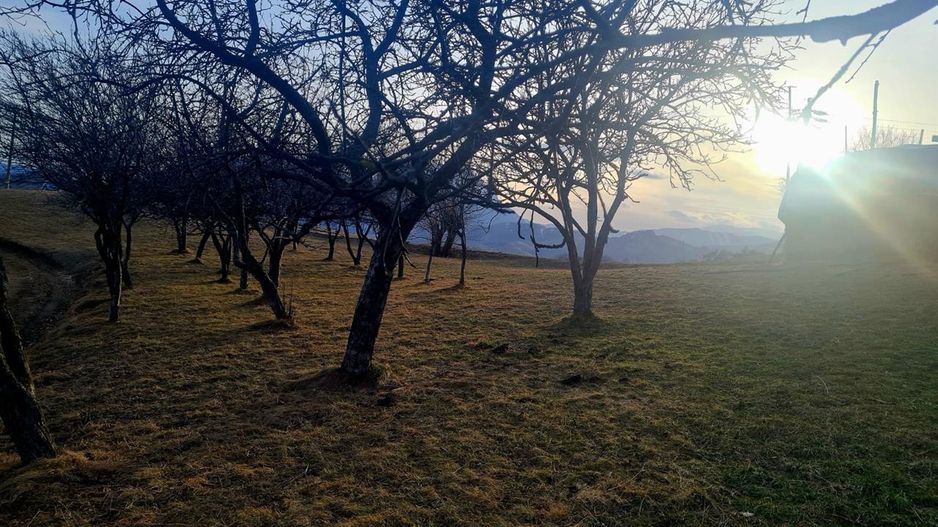 Oaza de liniste si frumusete, reconectare cu natura, 16.000 mp, Poiana Marului - Poză 8