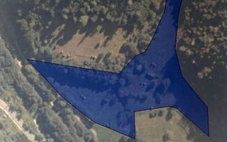 Teren 17898 mp + casa 58 mp-ideal fonduri europeane-Ilva Mica - Poză 1