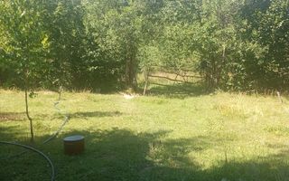 Teren de vânzare – Moisei, Maramureș - Poză 1