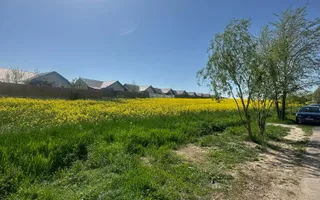 Teren intravilan 26.300 mp Saftica Balotesti - PUZ în lucru - Poză 20