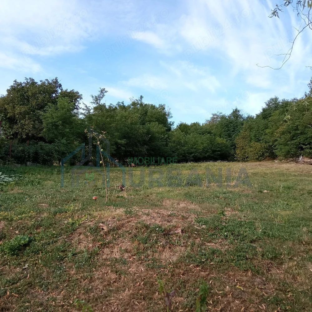 Teren de vânzare în Rediu, județul Iași - Poză 2