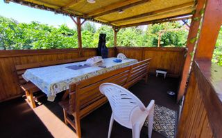 VIILE NOI - casa cu o curte generoasa disponibila imediat - Poză 19