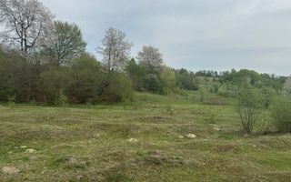 TEREN EXTRAVILAN 40000 MP, ALBESTI DE MUSCEL, CANDESTI - Poză 3