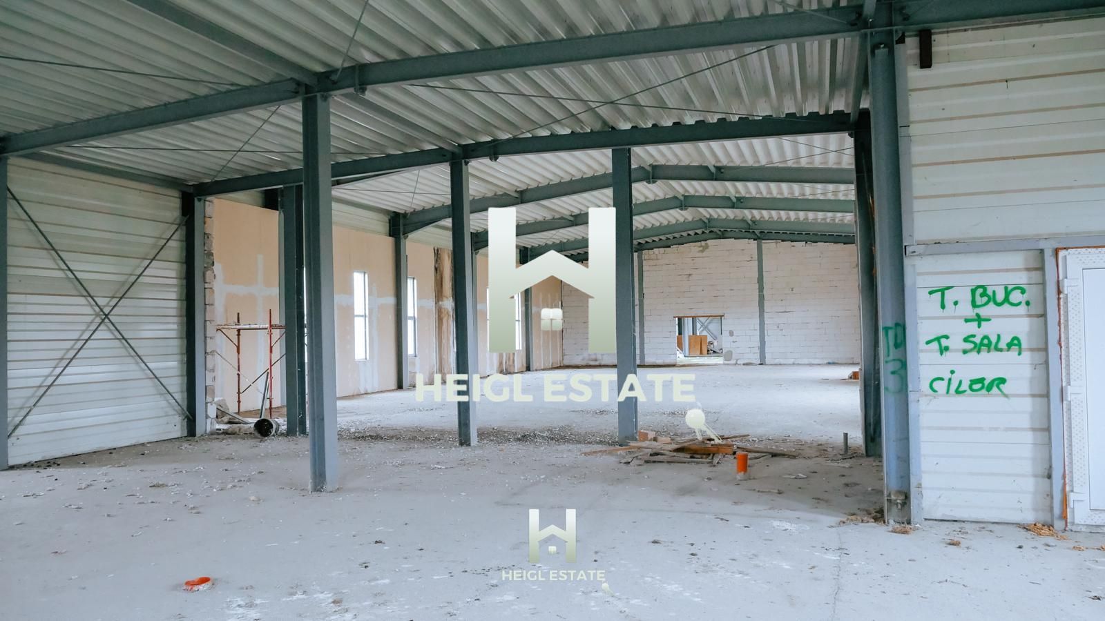 Sala de evenimente in Albina - Poză 16