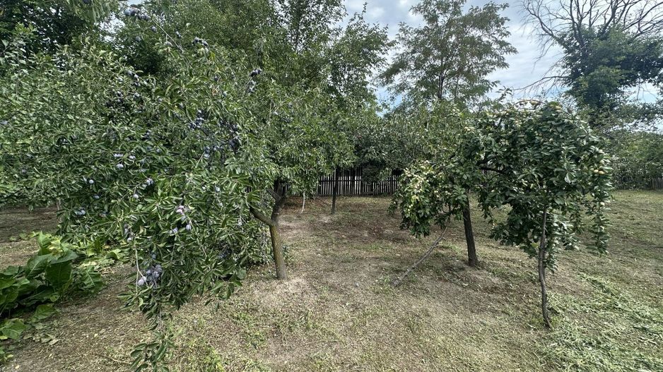 Casa traditionala+teren 1172mp intravilan in Lunca Corbului, Arges - Poză 8