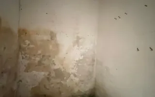 DE VANZARE CASA 4 CAMERE PIVNITA SI POD | 122MP | COTROCENI - Poză 21