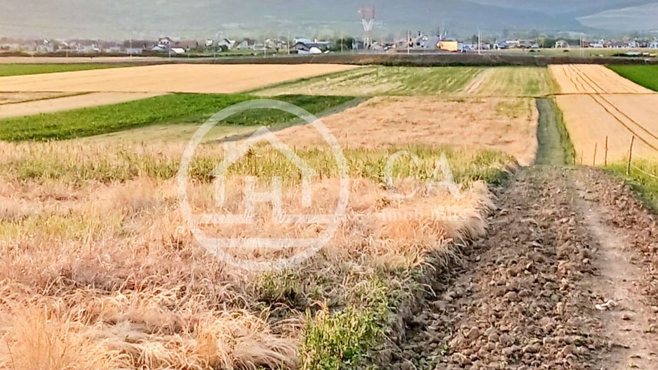 Teren intravilan de vanzare in Alparea, Bihor - Poză 3