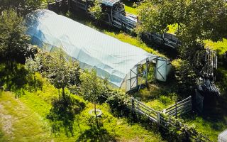 O proprietate de exceptie la Corbi, 18 ha, izvor, lac, pastravarie - Poză 7