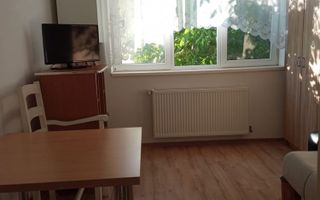 Garsoniera | Etaj 2 | 24 MPU | Terezian - Poză 1